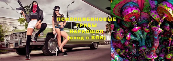 spice Беломорск