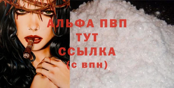 сатива Богданович