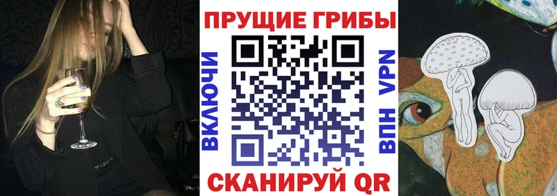 Купить закладки  Кыштым  Галлюциногенные грибы прущие грибы 